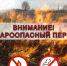 весенний пожароопасный период. - Шелаболихинский район